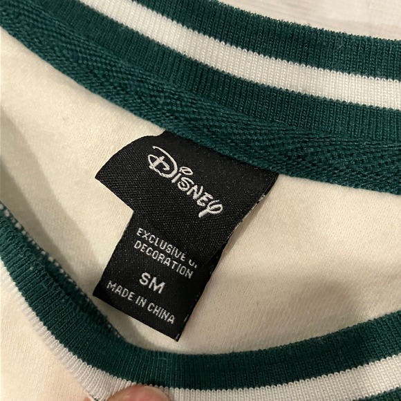 Disney Tigger 100 Acre Wood Friends Colorblock Sweatshirt Green Cream Small - Picture 4 of 6